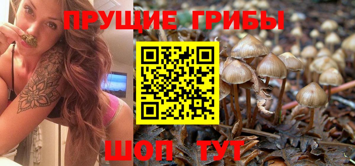 Псилоцибиновые грибы мухоморы Лесной